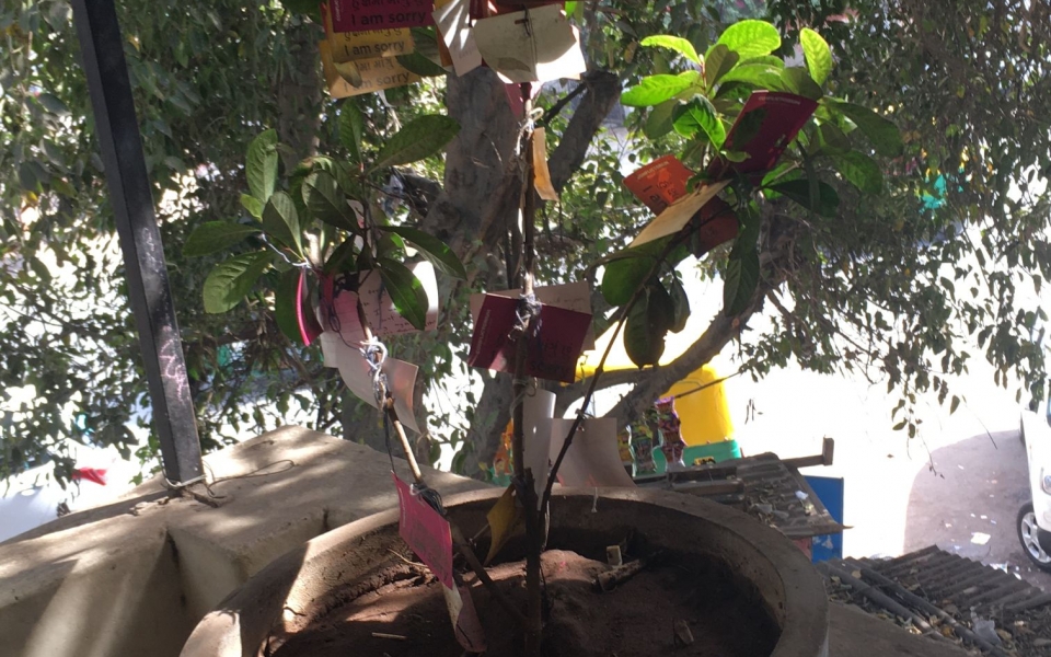 Tree of sorrow. Conflictorium, Ahmedabad, February 2020